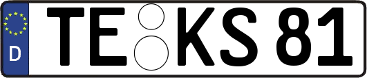 TE-KS81