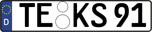 TE-KS91