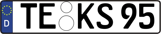 TE-KS95