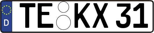 TE-KX31