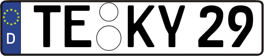 TE-KY29