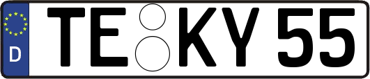 TE-KY55