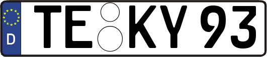 TE-KY93