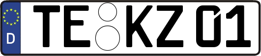 TE-KZ01