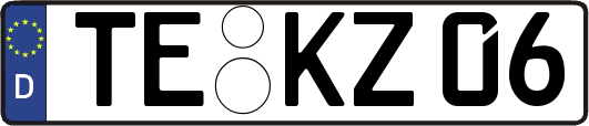 TE-KZ06