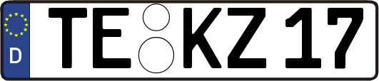 TE-KZ17