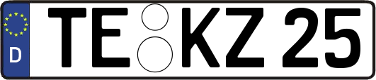 TE-KZ25