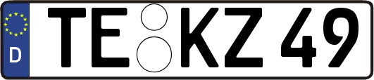 TE-KZ49