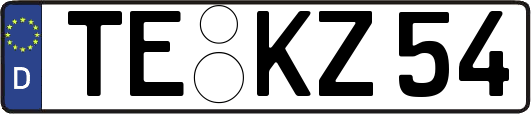 TE-KZ54