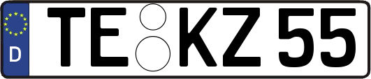 TE-KZ55
