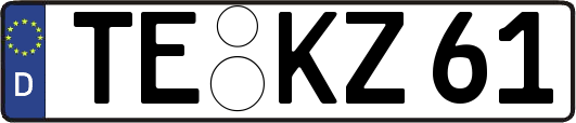 TE-KZ61