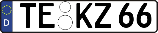 TE-KZ66