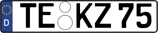 TE-KZ75