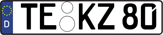 TE-KZ80