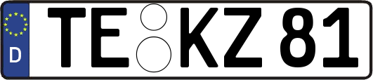 TE-KZ81