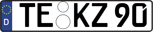 TE-KZ90
