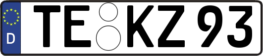 TE-KZ93