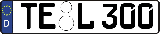 TE-L300