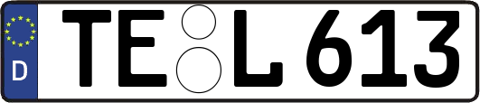 TE-L613