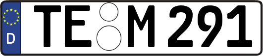 TE-M291