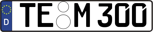 TE-M300