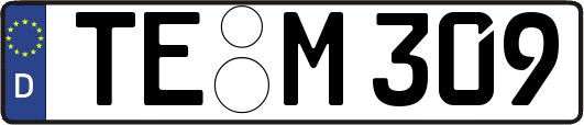 TE-M309