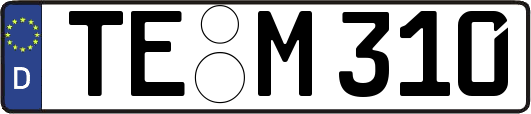 TE-M310