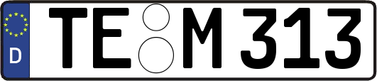 TE-M313
