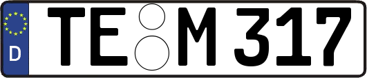 TE-M317