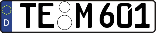 TE-M601