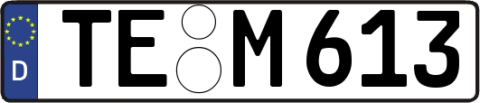 TE-M613