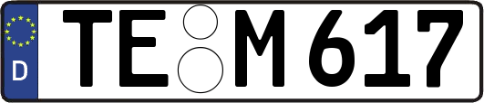 TE-M617