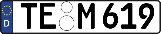 TE-M619