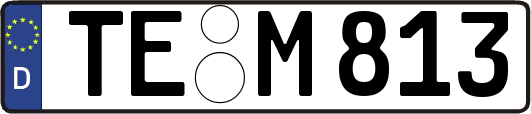TE-M813
