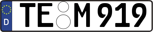 TE-M919