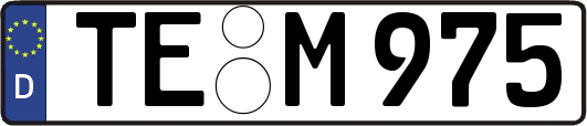 TE-M975