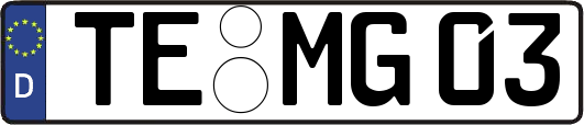 TE-MG03