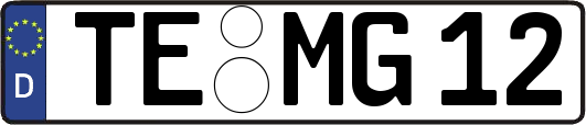 TE-MG12