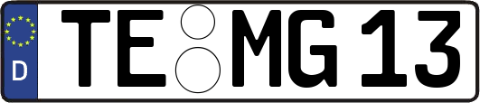 TE-MG13