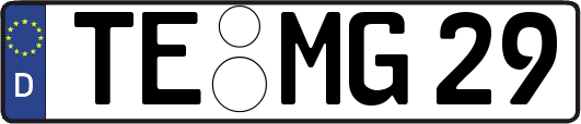 TE-MG29
