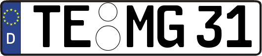 TE-MG31