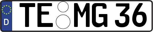 TE-MG36