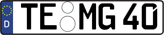 TE-MG40
