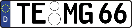 TE-MG66