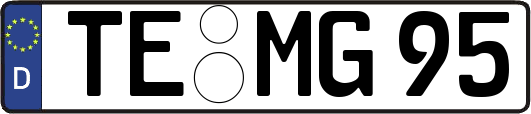 TE-MG95