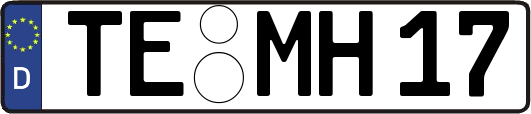 TE-MH17