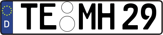 TE-MH29