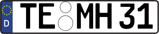 TE-MH31