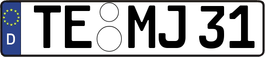 TE-MJ31