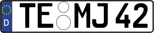 TE-MJ42